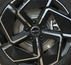 Wheel Hub Stickers 19in