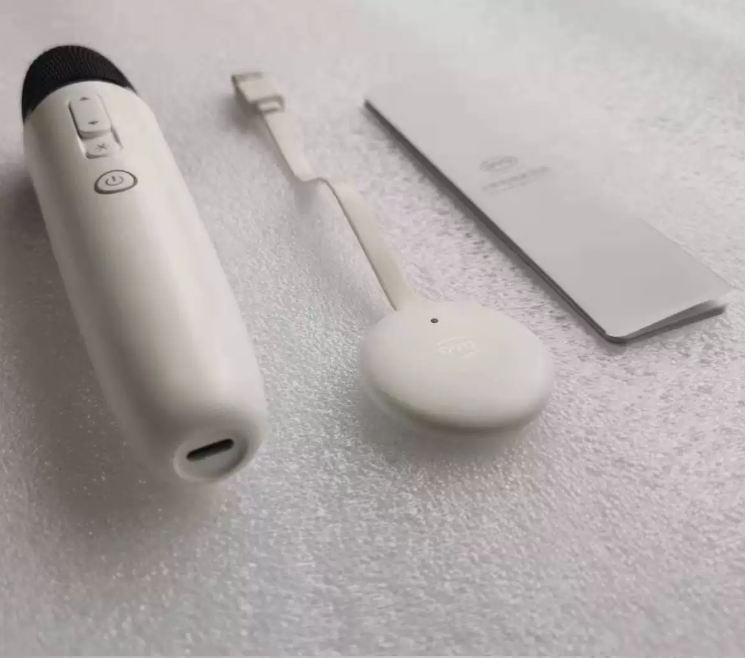 Genuine Original Car Karaoke Microphone